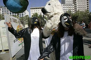 Greenpeace presenta "O túnel do tempo" na Coruña