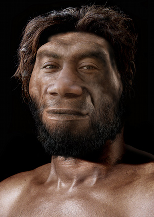 Reconstrución do posíbel aspecto dun Homo erectus