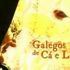 Galiza puxa forte na grella televisiva de Portugal: Galegos de Cá e Lá