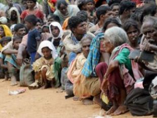 Numerosas organizacións denuncian a dramática situación que viven os desprazados tamiles
