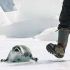 Deputados canadenses comerán carne de foca en solidariedade cos cazadores