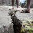 Un novo terremoto de 6,1 graos sacode Haití oito días despois