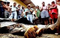 En Colombia houbo 48 asasinatos