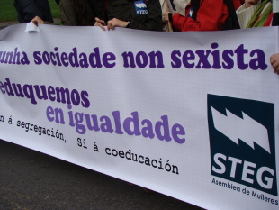 O STEG manifestouse en diversas ocasións por "unha escola pública, galega, de calidade, coeducadora, laica e democrática"