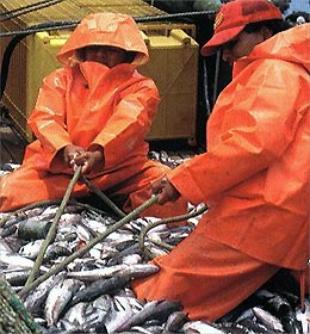 A pescada é a especie de maior valor comercial para os armadores galegos