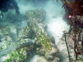 Restos arqueol&oacute;xicos no fondo do mar / Imaxe cedida por buceofinisterre.com
