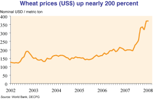 O prezo do trigo aumentou perto dun 200% e os dos alimentos en xeral nun 75% dende o cambio de século