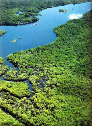 A Amazonía vive nunha constante ameaza por mor do cambio climático e pola deforestación