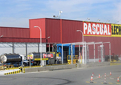 Nueva Rumasa está a negociar a compra da planta de Pascual