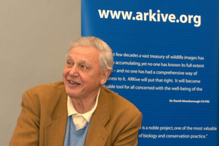 David Attenborough, Premio Fonseca á divulgación científica