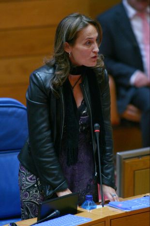 Teresa Táboas, durante a súa comparecencia no Parlamento este martes