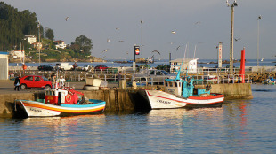 En Galiza o 87% das embarcacións censadas son de baixura (un total de 4.549 barcos) Imaxe: porto de Bueu / Flickr:triat3d