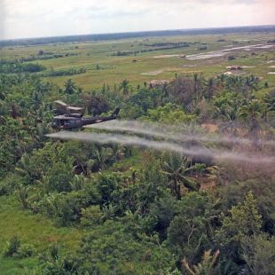 A forza aérea estadounidense esparexeu o tóxico sobre a selva