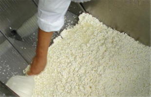 As grandes marcas de queixos, iogures, batidos ou preparados lácteos procesan o leite galego nos seus centros de produción, fóra de Galiza