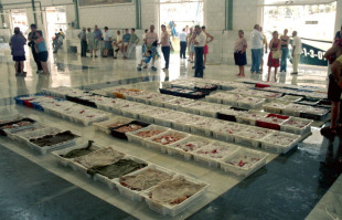 No 2002 a Consellaría de Pesca promoveu a compra de caixas de plástico por parte das confrarías