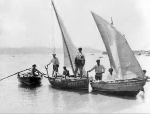 Embarcacións tradicionais en Bueu (imaxe tirada do vídeo)