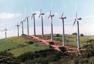 As eólicas poden producir 2.603 megavatios/ Foto: INEGA