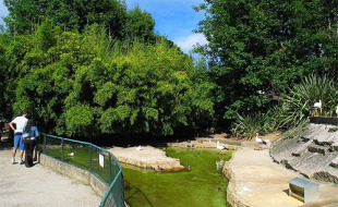 O zoo da Madroa ocupa parte do monte que agora o alto tribunal recoñeceu que pertence aos veciños