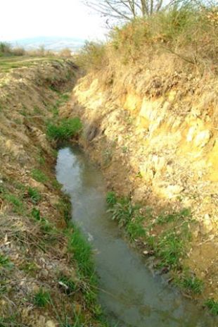 Contaminación fluvial no río Búbal (Monterrei). Fonte: Amigos da Terra