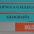 Galego no ensino