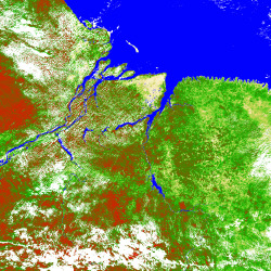 A Amazonía é o maior bosque tropical do planeta e recibe o nome de "pulmón do mundo"