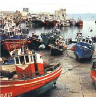 Barcos pesqueiros no peirao de Burela