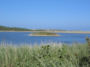 Imaxe da lagoa da Frouxeira, co complexo dunar ao fondo / Flickr: vorjales