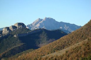 Imaxe do Parc Natural del Cadí-Moixeró, onde foi achado e exemplar