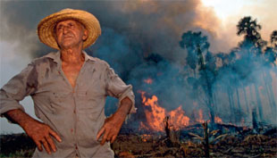Talas e queimas aceleran a destrución da selva amazónica /Foto: WWF