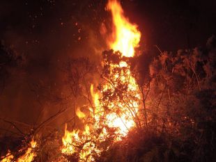 Un incendio, en Cerceda (Ordes) / Flickr: victorsantos