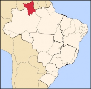 O estado de Roraima, ao norte do Brasil, coloreado en vermello