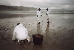 Recollendo chapapote na praia de Nemiña / Flickr: cbrace