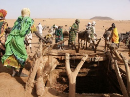Mulleres en Darfur sacando auga dun pozo/Foto: D.Haberlah