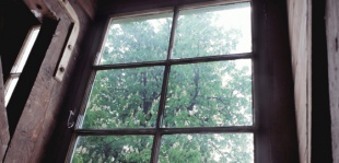 O castiñeiro, ollado dende a fiestra da "casa de atrás"