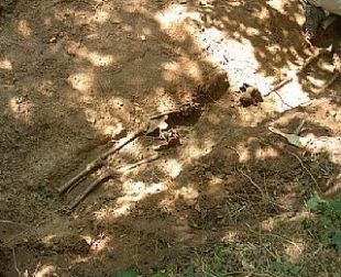 Os primeiros restos que apareceron na Fonsagrada, o verán pasado, pertencentes a un membro do Batallón Galicia