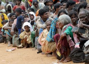 O conflito entre o exército cingalés e a guerrilla tamil está afectando a milleiros de persoas