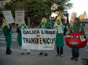 Membros da Plataforma Galega Antitransxénicos, manifestándose ás portas do Parlamento