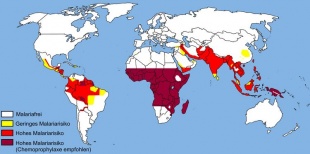 Distribución dos distintos tipos de malaria polo mundo