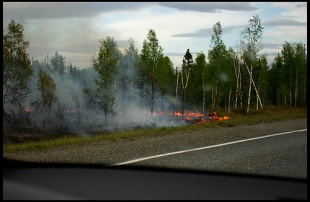 O lume, queimando a marxa dunha estrada, en Park Highway, Alaska / Flickr: Rickrz