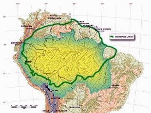 Demarcación da selva da Amazonia