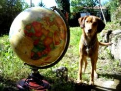 A cadela Maca, na horta da banda / Esta foi a imaxe que mandou o grupo en 2007