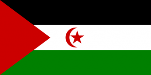 Bandeira do Sáhara