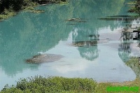 O río Umia sufriu un vertido tóxico o pasado verán / Greenpeace