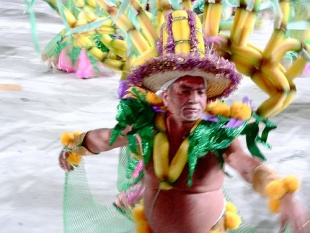 O carnaval brasileiro, o meirande do mundo, está a piques de comezar / Flicrk: cronai