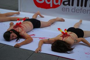 Acto contra as touradas do colectivo Equanimal, desenvolvido o pasado verán en Pontevedra