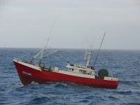 Os pescadores embarcados varios meses non poden votar / Flickr: O roxo