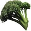 brocco
